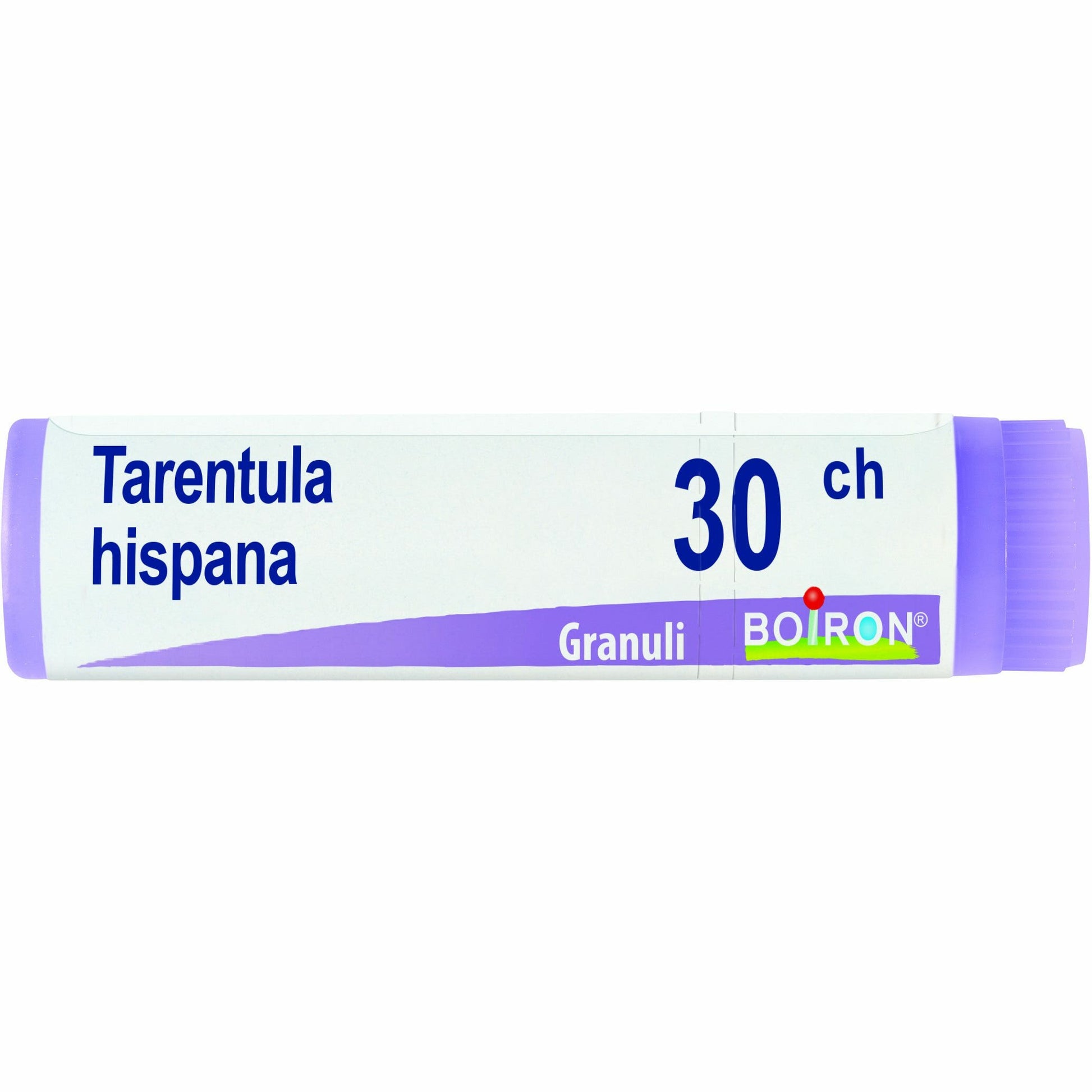 Tarentula hispana 30ch gl