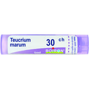Teucrium mar boi 30ch 80gr 4g