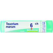 Teucrium mar boi 6ch 80gr 4g