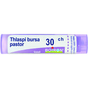 Thlaspi bursa pastiglie 30ch gr