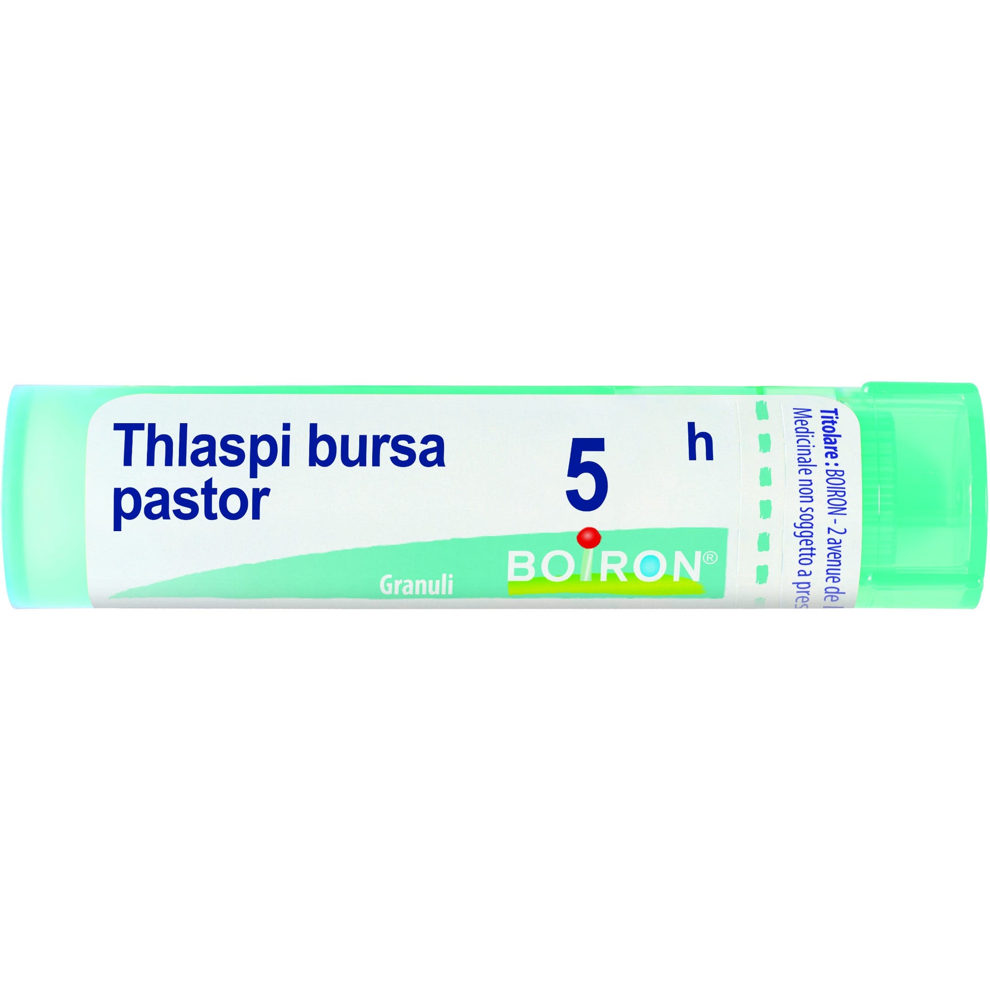Thlaspi bursa pastiglie 5ch gr