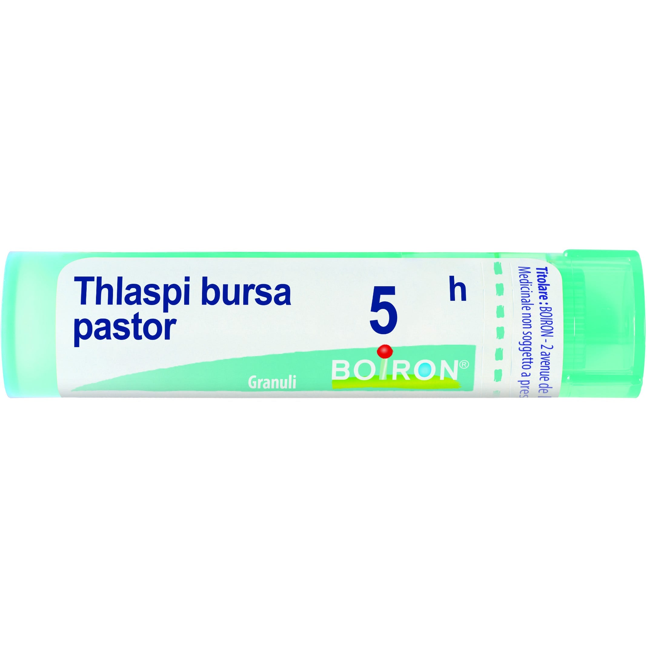 Thlaspi bursa pastiglie 5ch gr