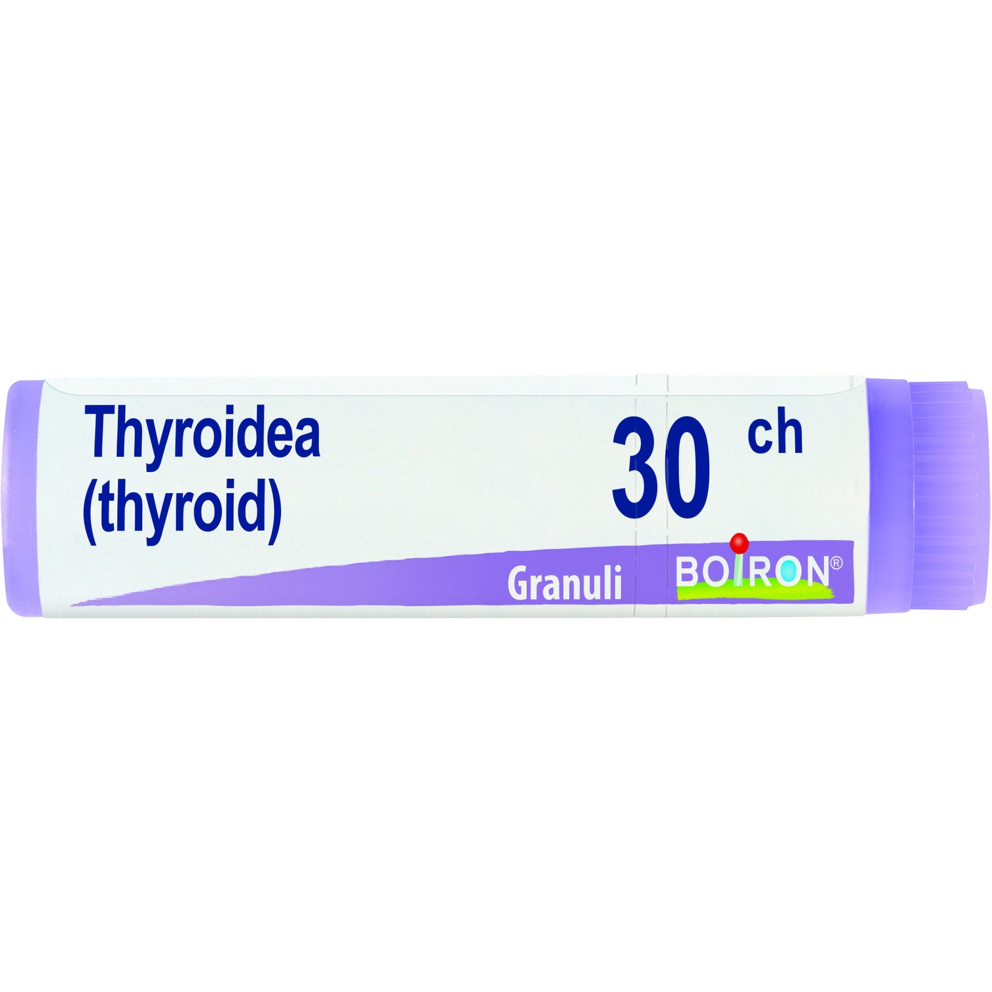 Thyroidea 30ch gl