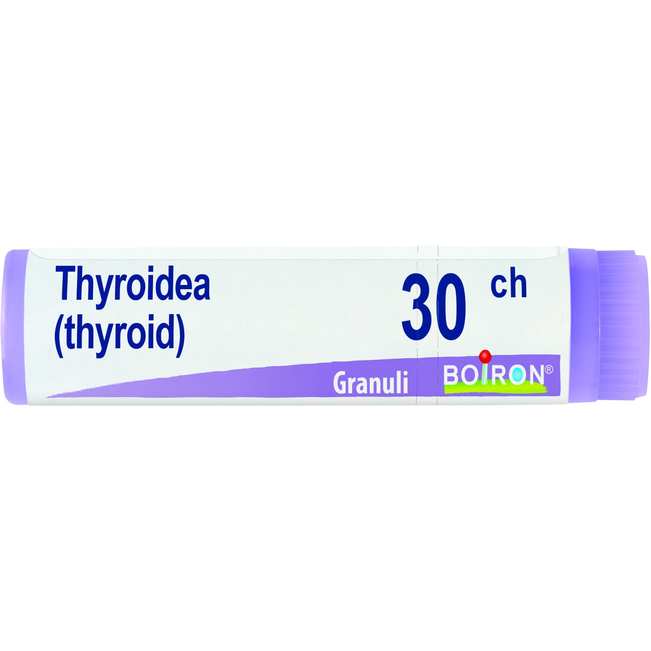 Thyroidea 30ch gl