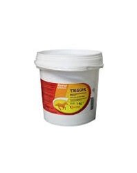 Trigger fustino 3 kg