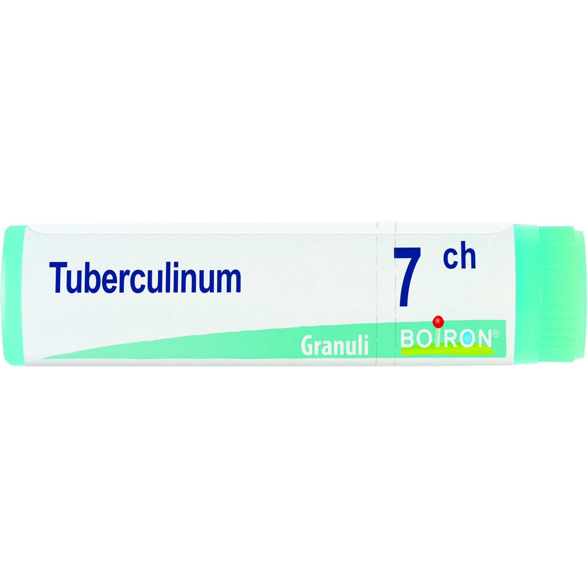 Tubercolinum 7ch gl