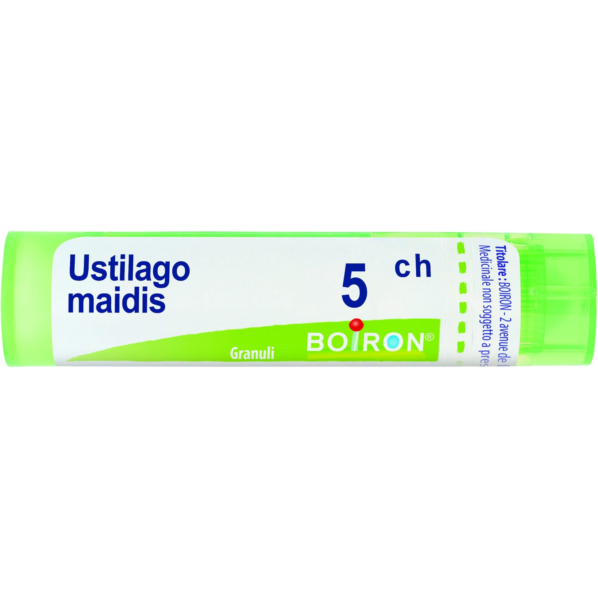 Ustilago maid boi 5ch 80gr 4g