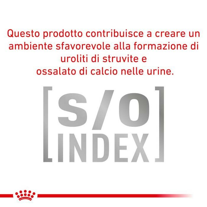 Veterinary hn wet dog urinary 410 g