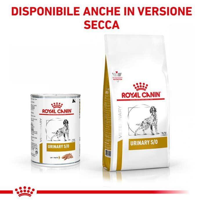 Veterinary hn wet dog urinary 410 g
