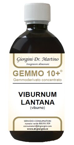 Viburno liquido analcolico gemmo 10+ 500 ml