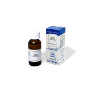 Vitis vinifera 100 ml macerato glicerico