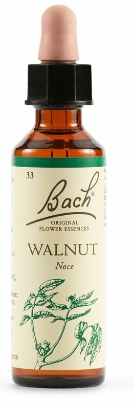 Walnut bach original 20 ml