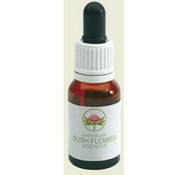 Wedding bush australian15ml gt
