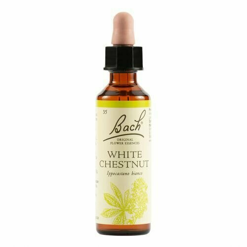 White chest bach original 20 ml