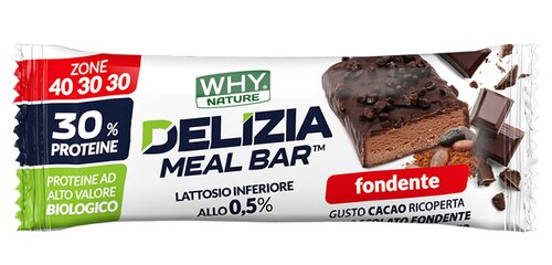 Whynature delizia meal bar fondente 50 g
