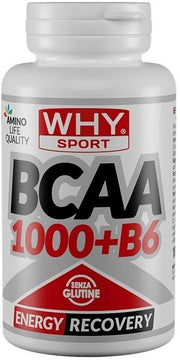 Whysport bcaa 1000+b6 100 compresse