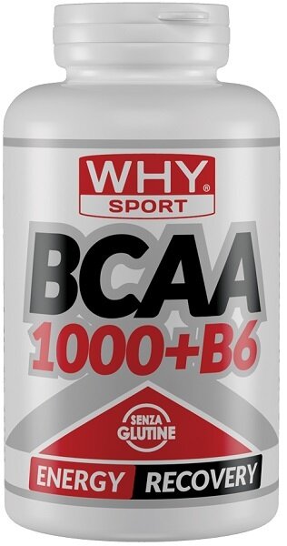 Whysport bcaa 1000+b6 300 compresse