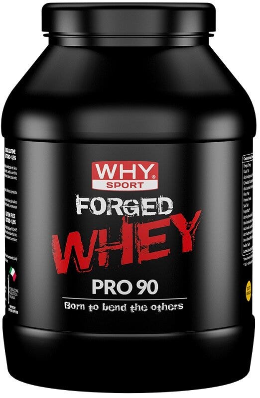 Whysport forged whey van 900g
