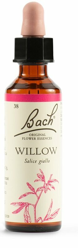 Willow bach original 20 ml