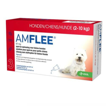 Amflee 67 mg soluzione spot-on per cani di taglia piccola 