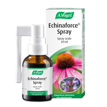 Avogel echinaforce spray 30ml