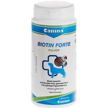 Biotin forte polvere 500g