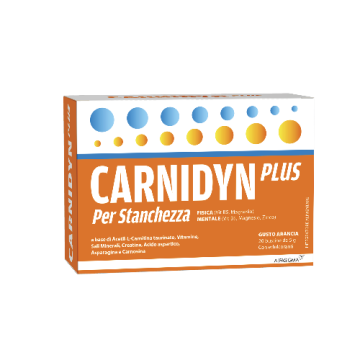 Carnidyn Plus Integratore Energetico Con Carnitina 20 Bustine