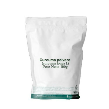 Curcuma polvere 100 g