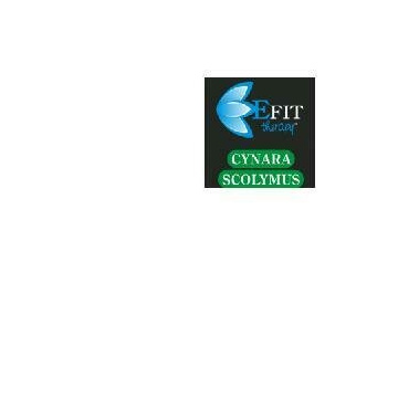 Cynara scolymus estratto fluido 30 ml