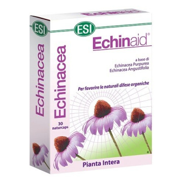 Echinaid 30 capsule