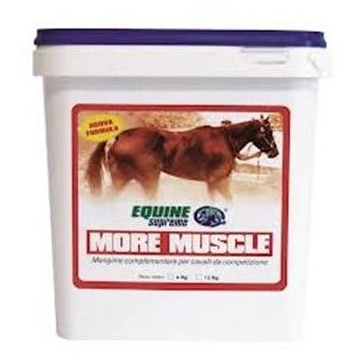 Equine supr more muscle 4