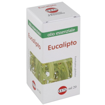 Eucalipto olio essenziale 20 ml