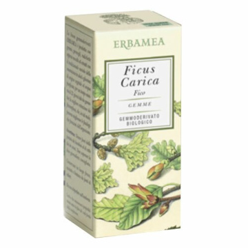 Ficus Carica Integratore Benessere Gastrointestinale Bio 50 ml