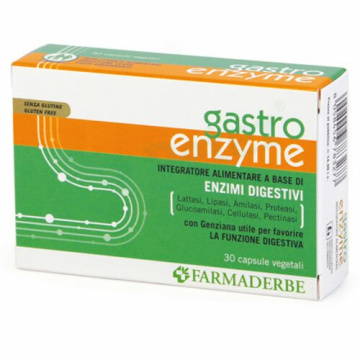 Gastro enzyme 30 capsule