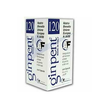 Ginpent 120 capsule 400mg