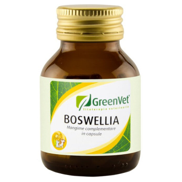 Greenvet boswellia 50 capsule
