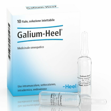 Heel Galium Omeopatico Detossinante 10 fiale da 1,1 ml