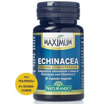 Maximum echinacea 40 capsule