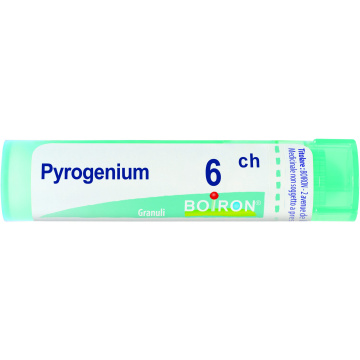 Pyrogenium 6ch granuli