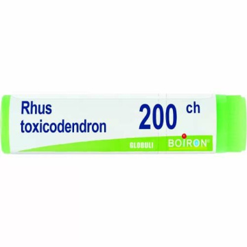 Rhus toxicodendron globuli 200 ch contenitore monodose