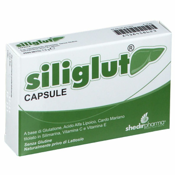 Siliglut a base di antiossidanti & ala 20 capsule