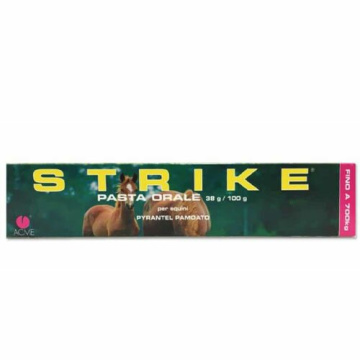 Strike pasta orale - 38 g/100 g pasta per uso orale per equini 1 tubo da 300 g