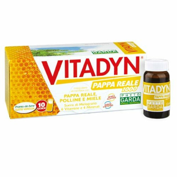 Vitadyn pappa reale 1000 10 flaconcini 10 ml