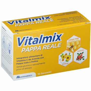 Vitalmix pappa reale 10flaconcini x10 ml s/gl