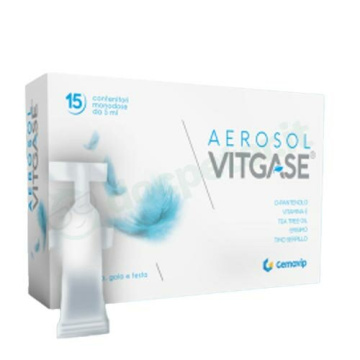 Vitgase Aerosol 15 Fiale Monodose da 5 ml