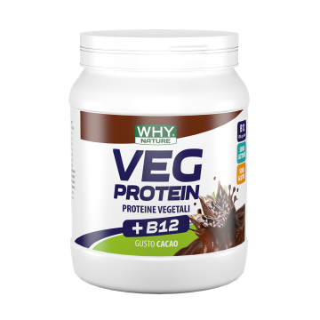 Whynature vegetale protein caca450g