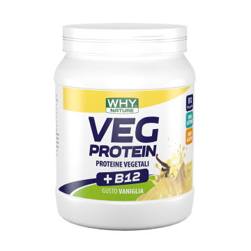 Whynature vegetale protein van 450g