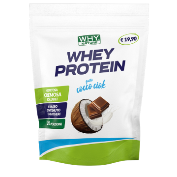 Whynature whey protein cocco ciok 400 g