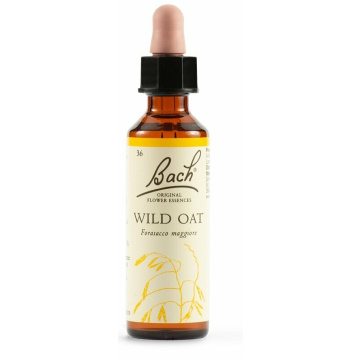 Wild oat bach original 20 ml
