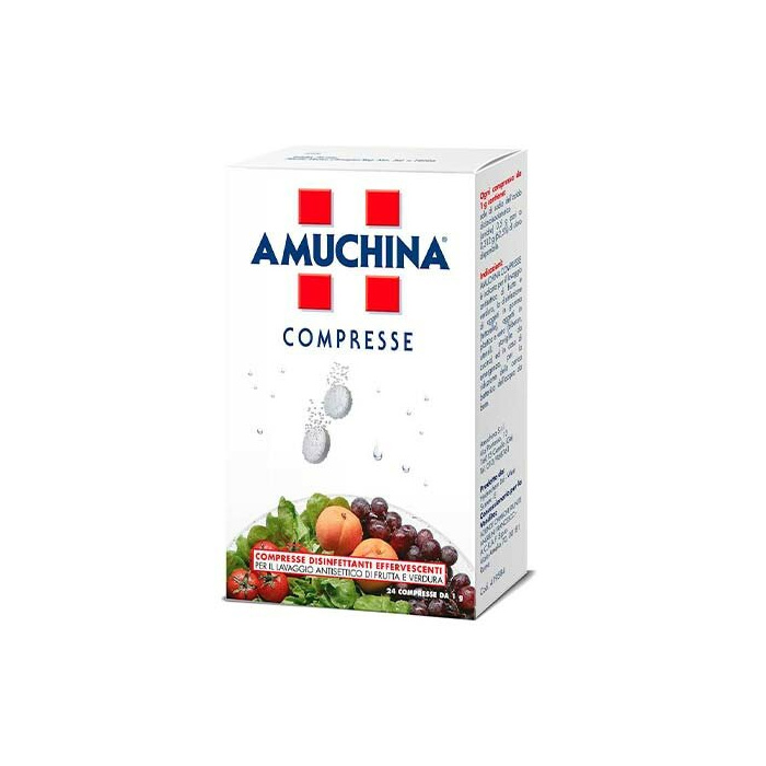 Amuchina 1g 24 Compresse